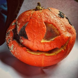 this pumpkin needs dentures