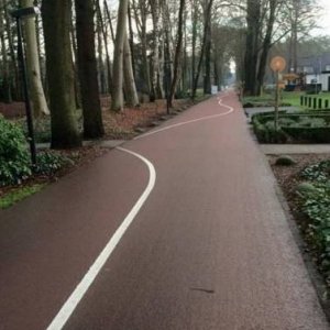 realistic bike path for every bicyclist in front of me in traffic