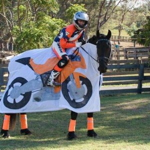 this couple s costume wins halloween this year