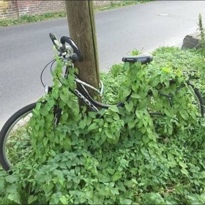 carl could never remember where he left his bike