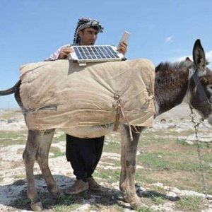 donkey works on clean energy