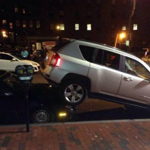 damn drunk cars banging in public