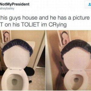 to be fair that toilet has hair