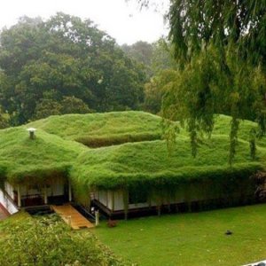 the cool looking roof distracts from the mold problem inside