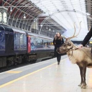 he is trying to decide if he should leap in front of the train