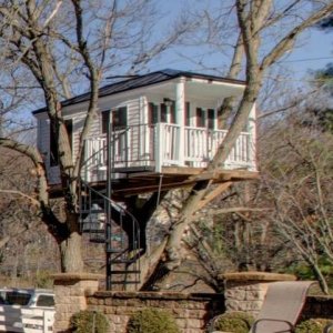 real estate prices for tree houses have really gone through the roof