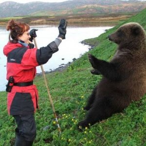 linda has been so busy teaching this bear to high five nobody has heard from her for months