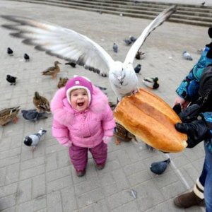 sad that was their last bread and now they are hungry