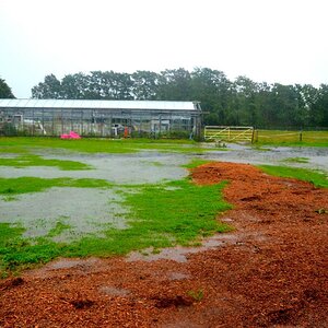 camping field