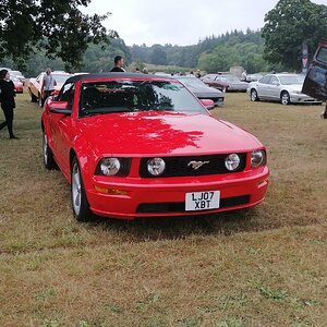 Beaulieu-16-08-2020-035.jpg