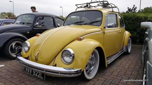 14 BEETLE1