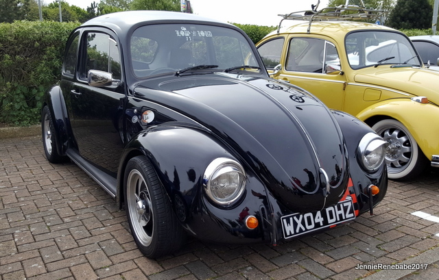 16 BEETLE3