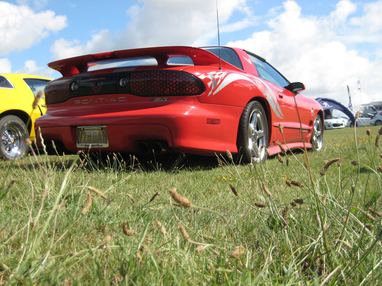 2000 Pontiac Trans-Am WS6