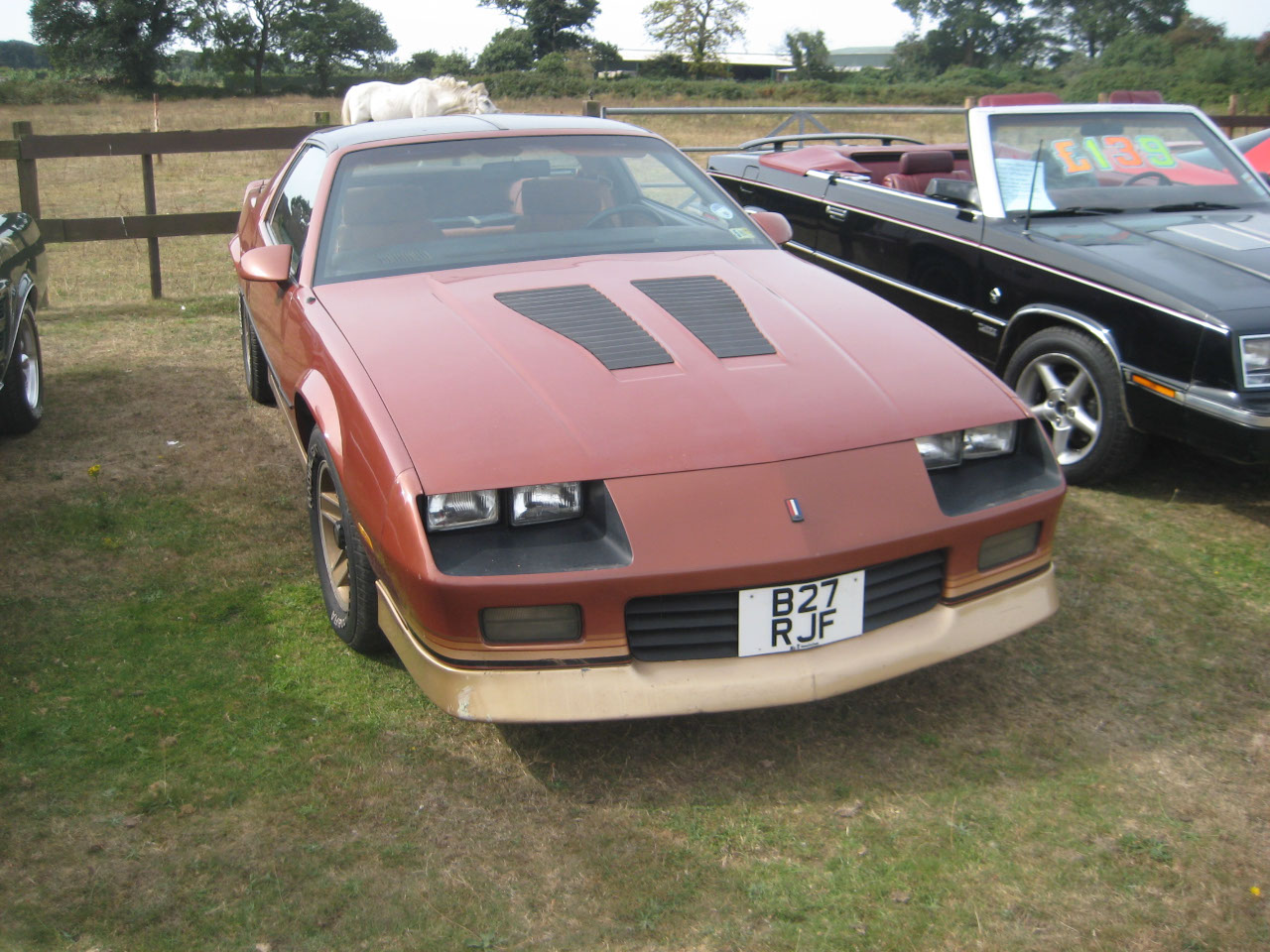 3rd Gen Chevy Camaro