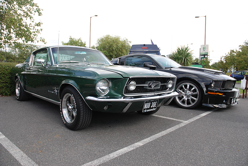 A Pair of Mustangs