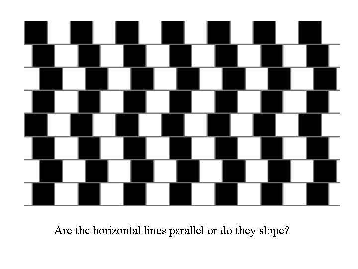 Are the lines straight of curved?