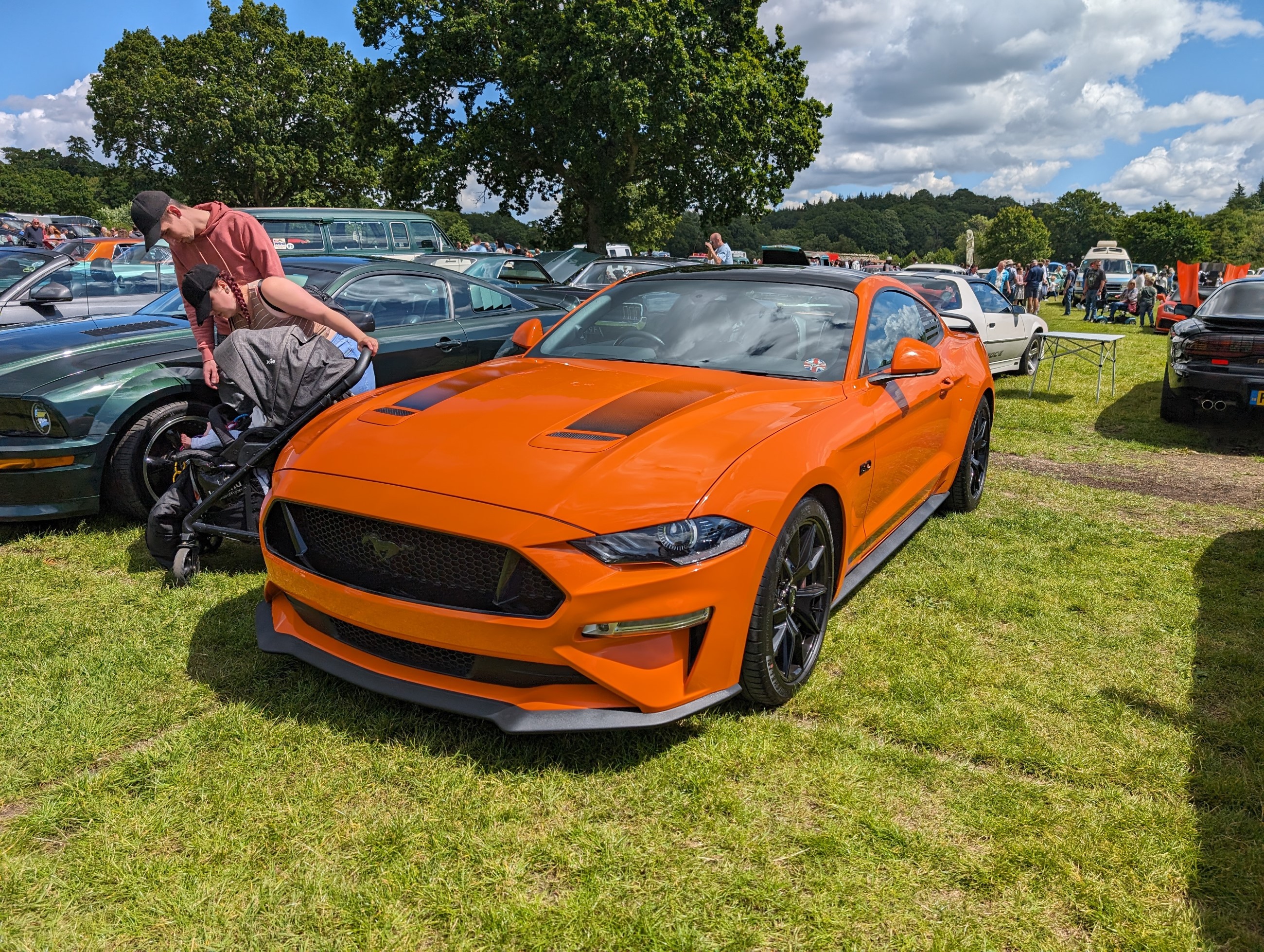 Beaulieu_June_2024_138.jpg