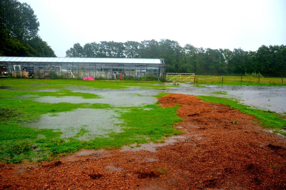 camping field