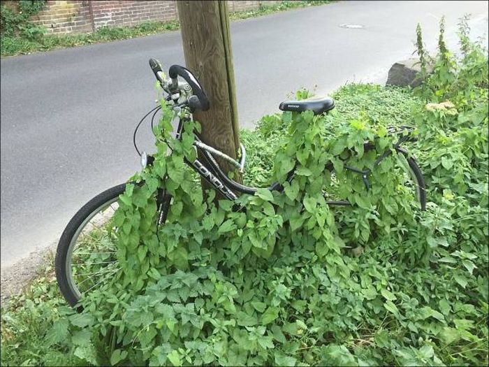 carl could never remember where he left his bike