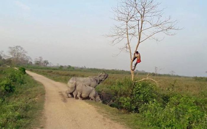 carl knew keeping those snacks in his pockets was a bad idea