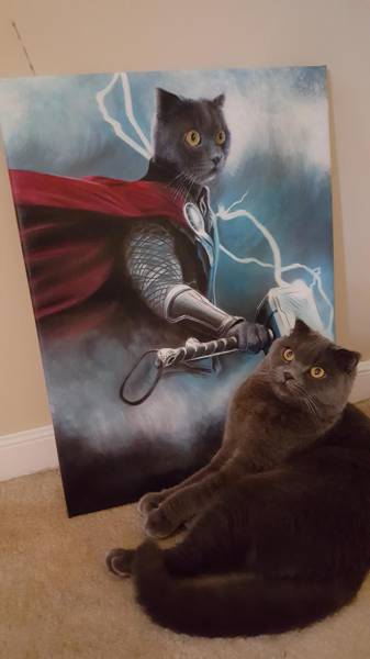 cats worship thor cat thor it s complicated