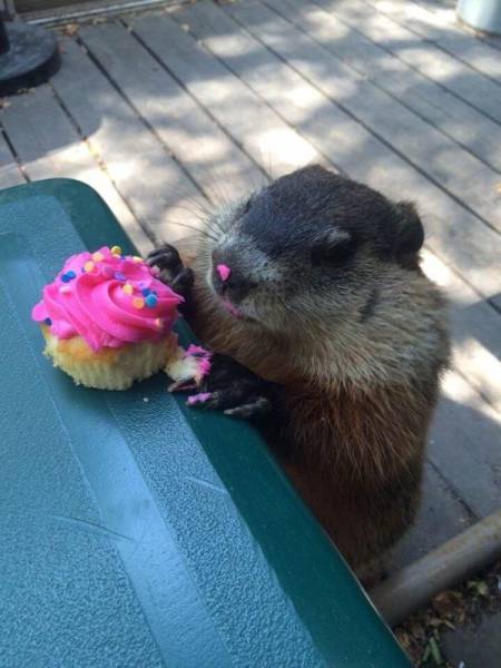 cindy invited everyone from class to her birthday party