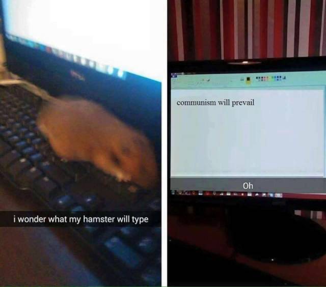 damn commie hamsters taking free handouts