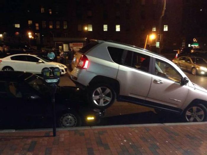 damn drunk cars banging in public