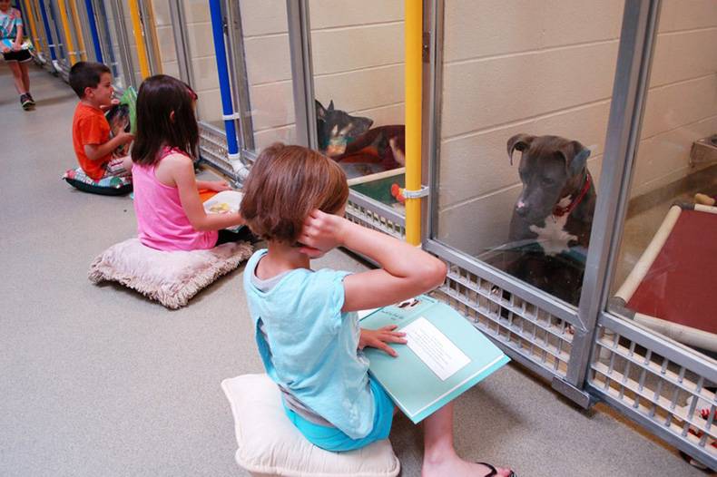 dogs at the pound meeting with their lawyers