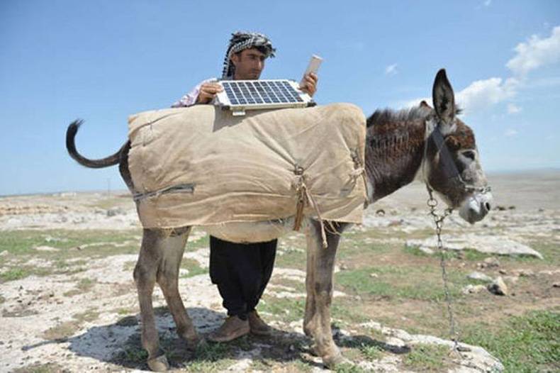 donkey works on clean energy