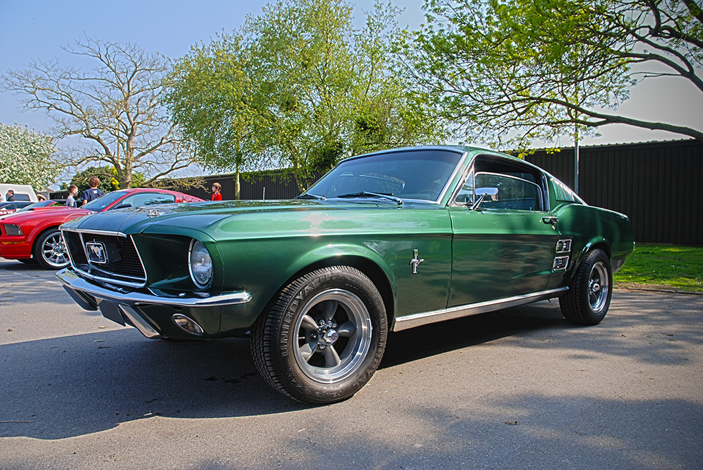 DSC 8303 GreenMustang