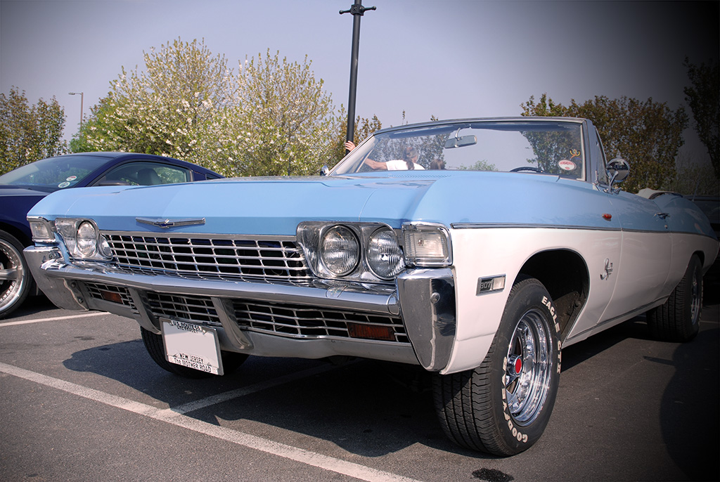 DSC 8370 Impala