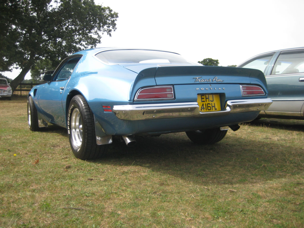 Early 70's Bull Nose Trans-Am