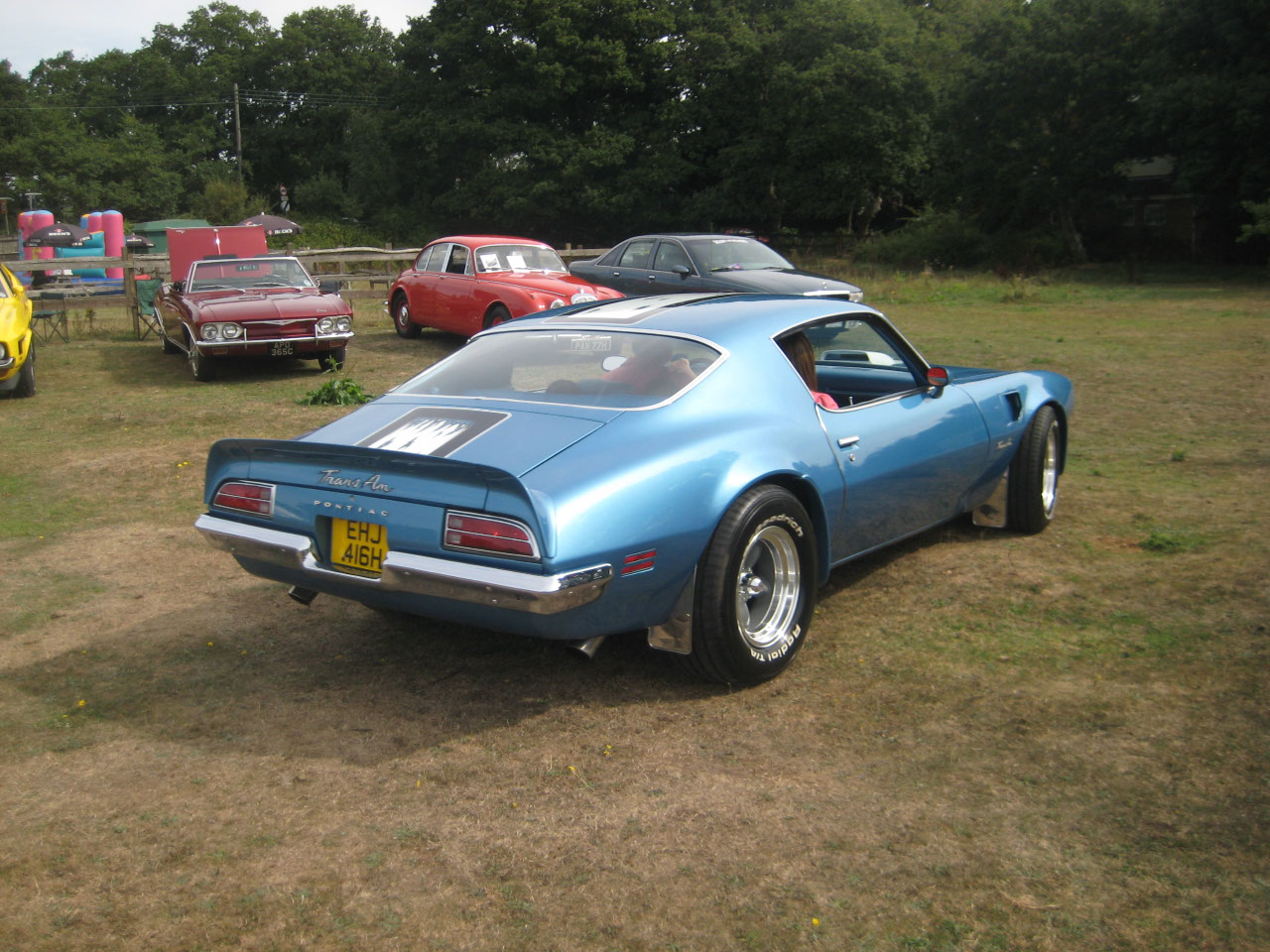 Early 70's Bull Nose Trans-Am