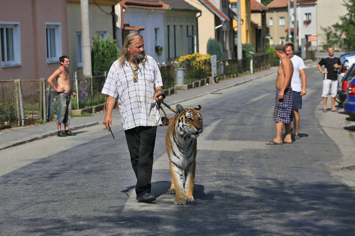 everyone was totally fine with him keeping a tiger totally fine