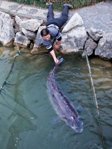 fishing is real easy in this spot