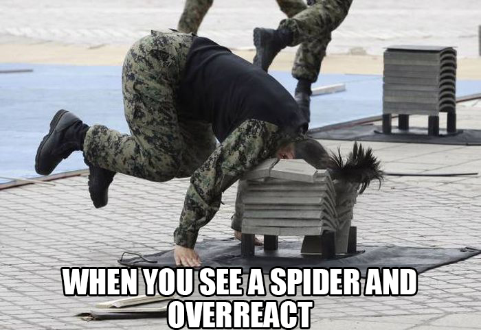 fuck those spiders