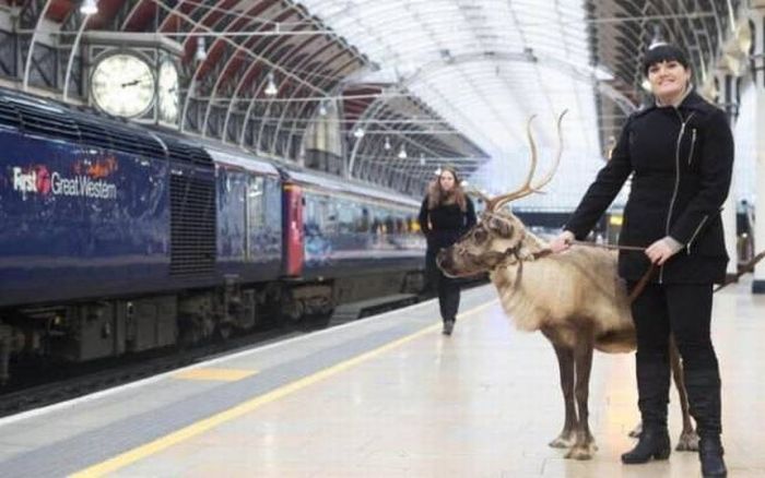 he is trying to decide if he should leap in front of the train