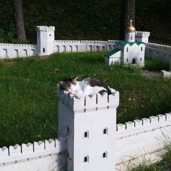 i guess we know who the king of this castle is