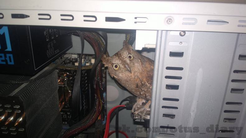 i think we found what s wrong with your computer