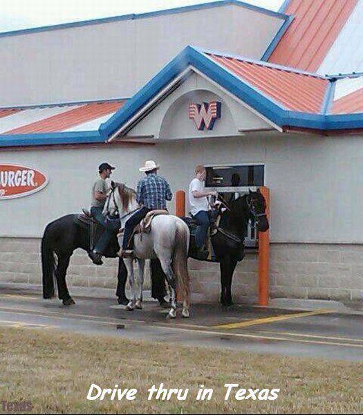 just picking up a cheeseburger and a few rounds of ammo