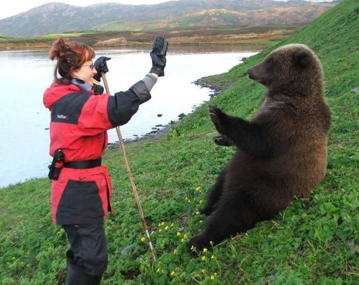 linda has been so busy teaching this bear to high five nobody has heard from her for months