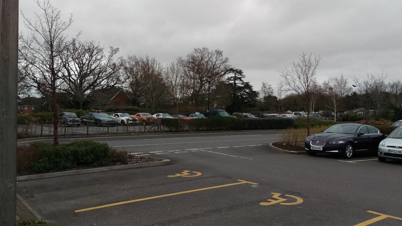 Line of club cars behind the bush.