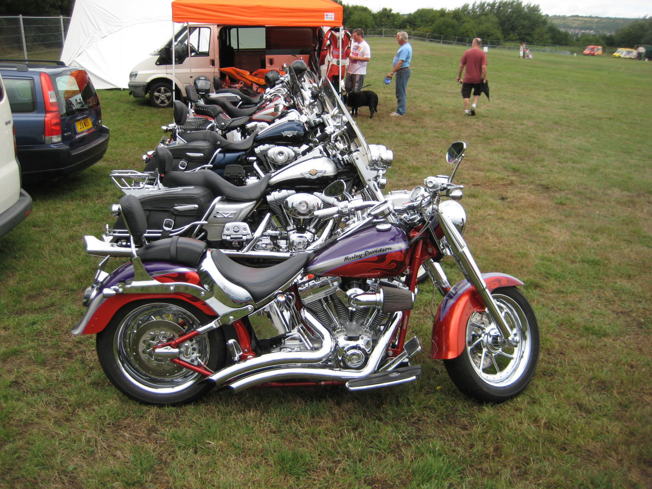 Line up of Harley Davidsons