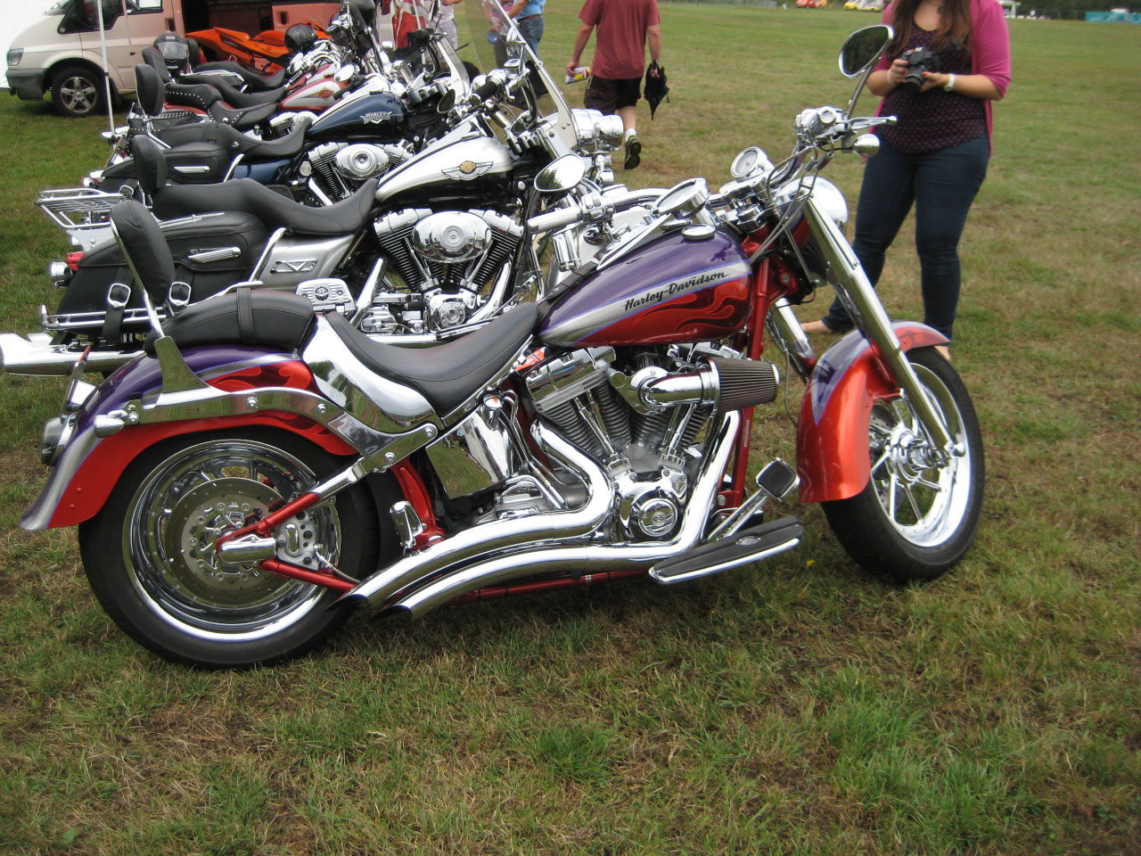 Line up of Harley's