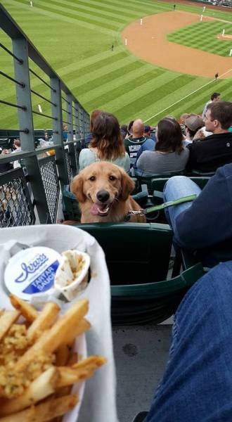 more like the seventh inning stench