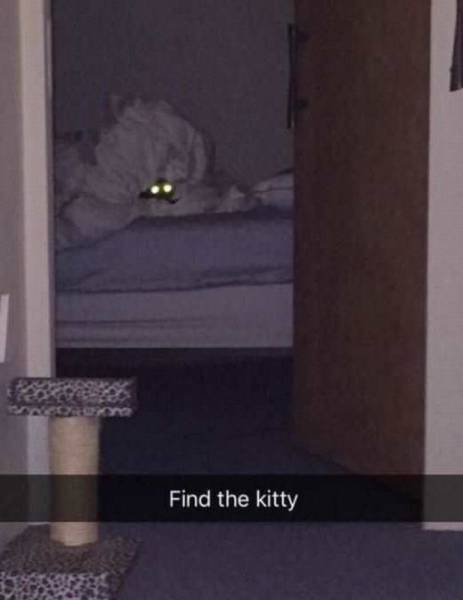 no sign of kitty but there is a level one demon hiding in your bed