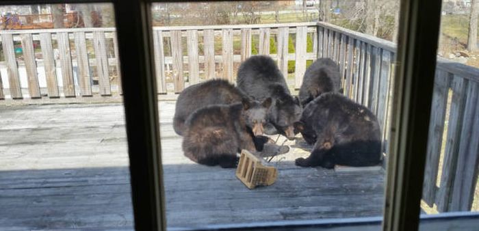 on second thought we won t be eating on the porch today