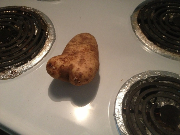 our pet hamster is going to have a field day with this potatoe