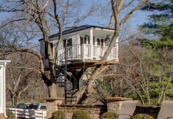 real estate prices for tree houses have really gone through the roof